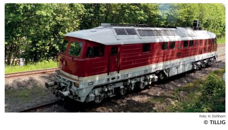 Diesellokomotive Nossen-Riesaer Eisenbahn-Compagnie GmbH
